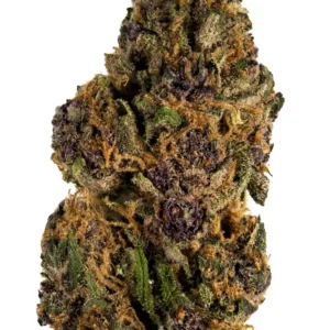 Buy Forbidden Fruit Strain in Madrid