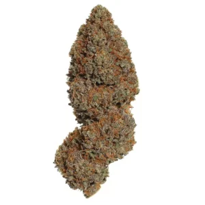 Buy Godfather OG Strain in Madrid