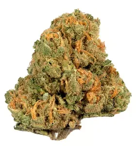 Buy Jack Herer Strain in Madrid