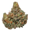 Buy Master Kush Strain in Madrid