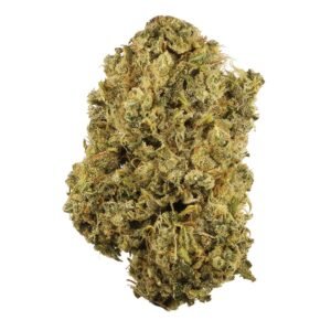 Buy Durban Poison Strain in Madrid